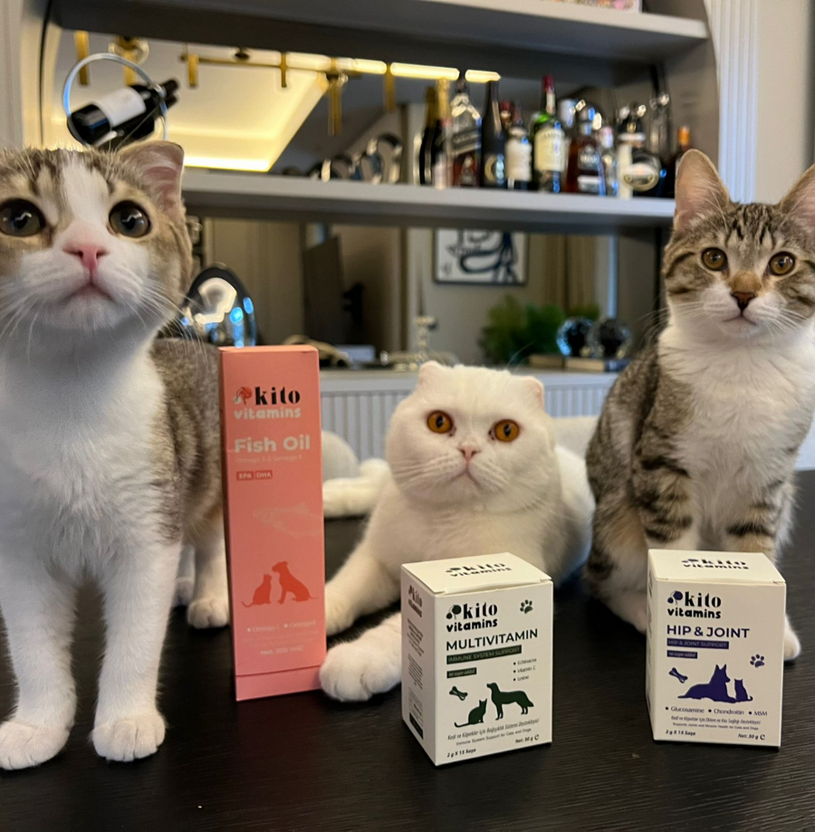 Kito Balık Yağı 200 ml ( Kedi ve Köpekler için Omega 3 & 6 İçerikli  Deri, Tüy, Eklem ve Kalp Sağlığı Destekleyici Balık Yağı)