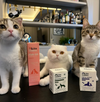 Kito Balık Yağı 200 ml ( Kedi ve Köpekler için Omega 3 & 6 İçerikli  Deri, Tüy, Eklem ve Kalp Sağlığı Destekleyici Balık Yağı)