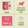 Kito Fresh with Salmon x60 (Monthly Kito Fresh Pack for Adult Medium Dogs)