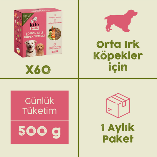 Somon Etli Kito Fresh x60 (Orta Irk Köpekler için Aylık Kito Fresh Paketi)