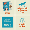 Levrek Etli Kito Fresh x90 (Büyük Irk Köpekler için Aylık Kito Fresh Paketi)