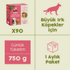 Kito Fresh with Salmon x90 (Monthly Kito Fresh Pack for Adult Dogs)