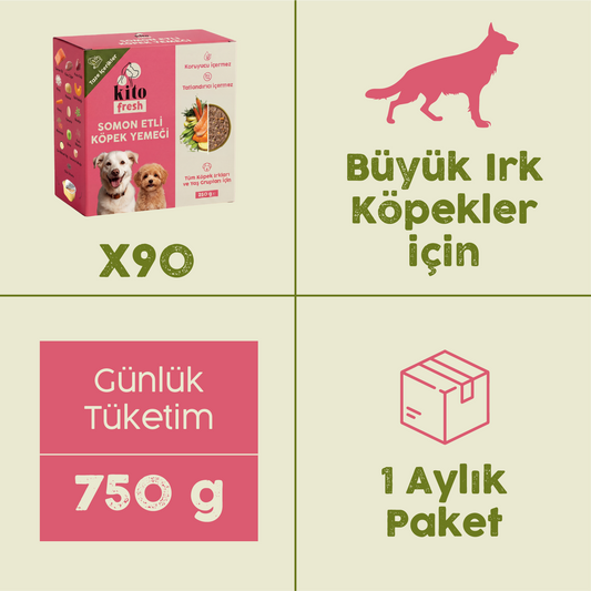 Somon Etli Kito Fresh x90 (Büyük Irk Köpekler için Aylık Kito Fresh Paketi)