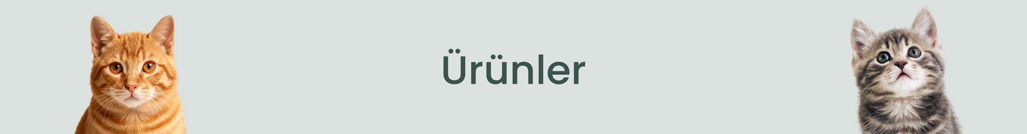 Kedi Ürünler
