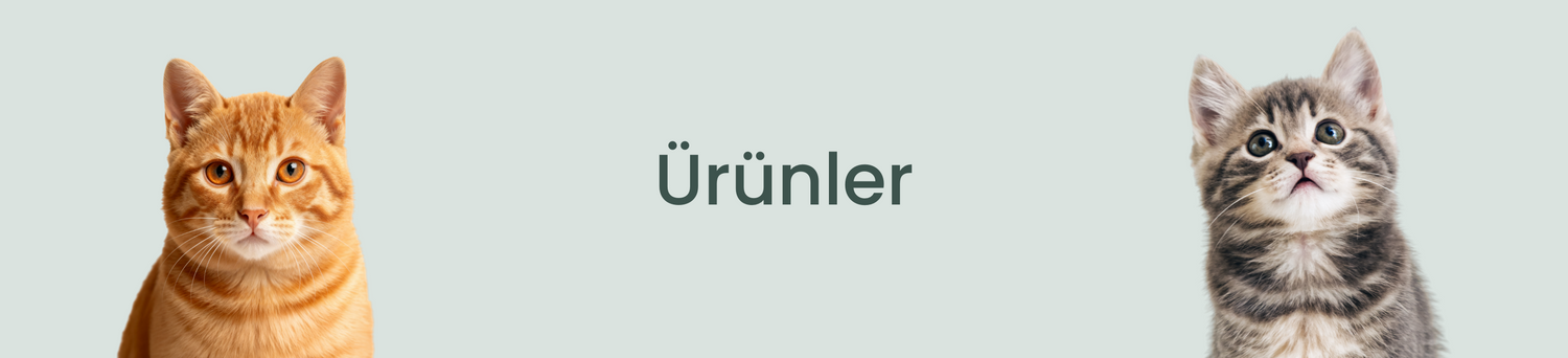 Kedi Ürünler