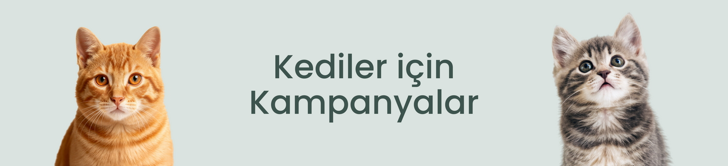 Kediler İçin Kampanyalar