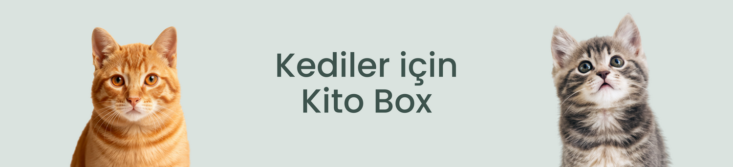 Kediler İçin Kito Box