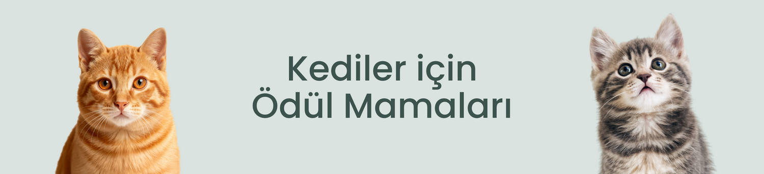 Kediler İçin Ödül Mamaları