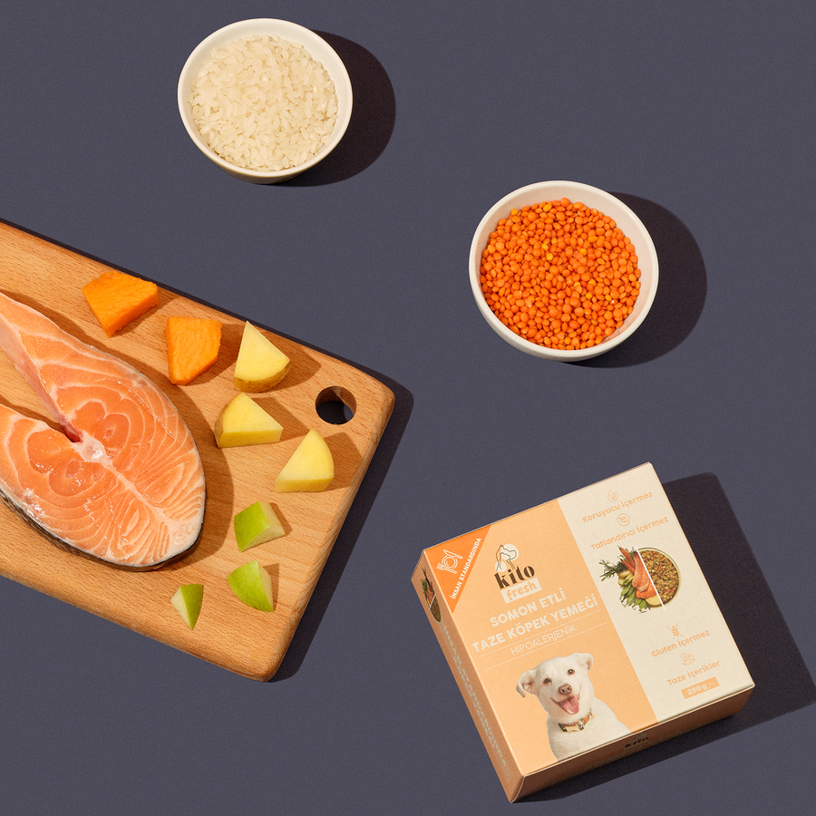 3 Günde 1 Sevindir Paketi Kito Fresh Somonlu Köpek Yemeği 250 gr (10 Adet)