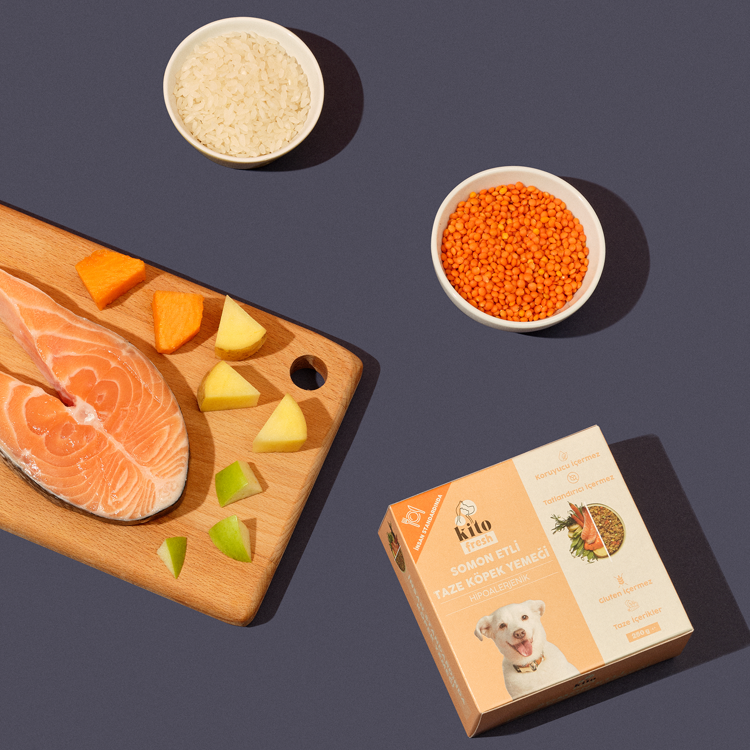 Somon Etli Taze Kedi Yemeği