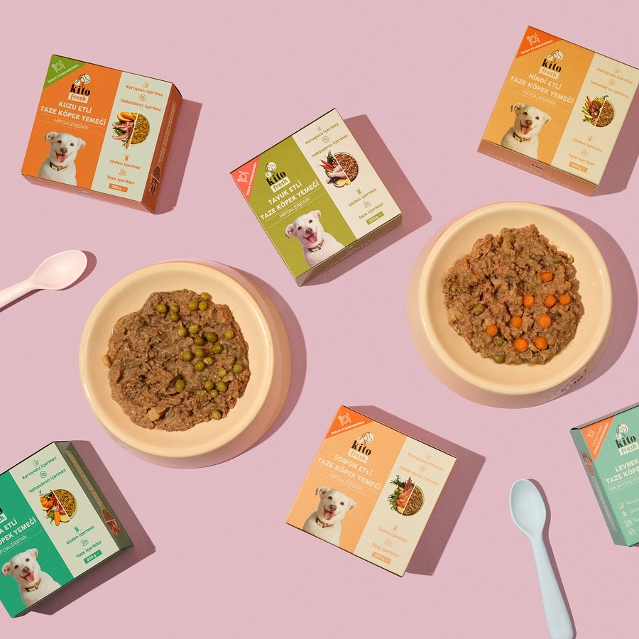 3 Günde 1 Sevindir Paketi Kito Fresh Somonlu Köpek Yemeği 250 gr (10 Adet)