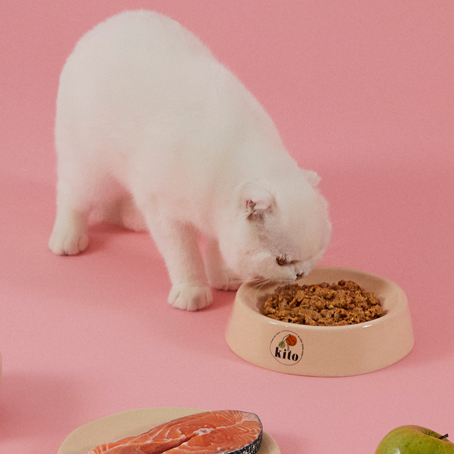 3 Günde 1 Sevindir Paketi Kito Fresh Kuzu Etli Kedi Yemeği 85 gr (10 Adet)