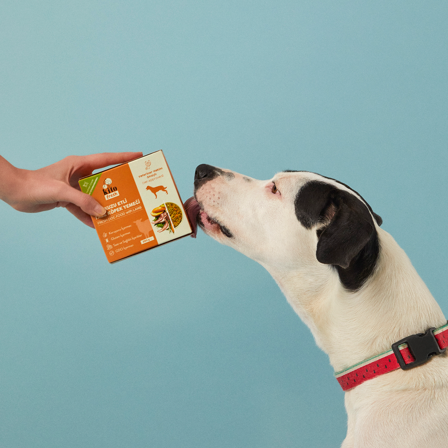 3 Günde 1 Sevindir Paketi Kito Fresh Kuzu Etli Köpek Yemeği 250 gr (10 Adet)