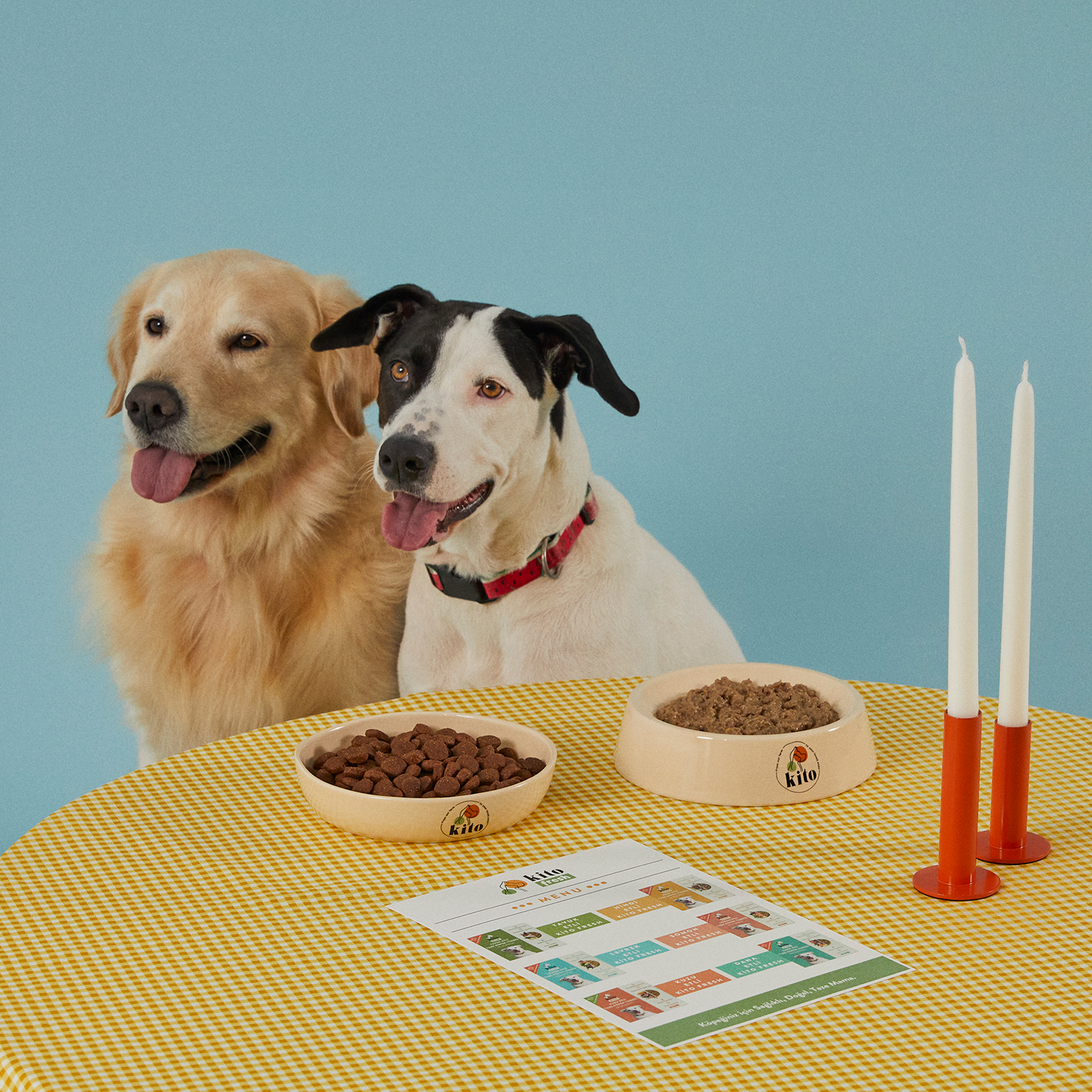 Yetişkin Köpek Maması ve Tavuk Etli Köpek Yemeği