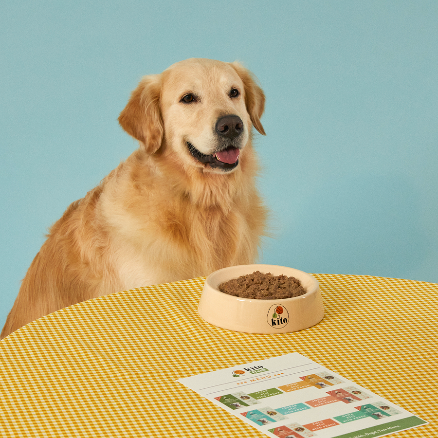 Köpekler için Kito Fresh Tanışma Paketi