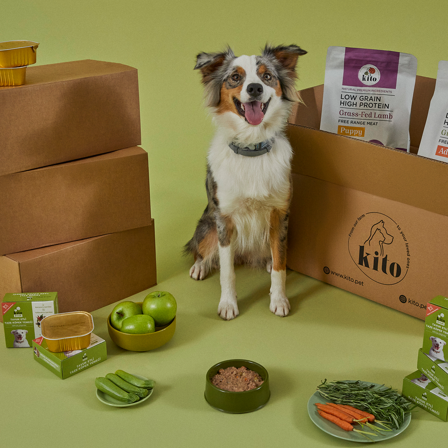 Tavuk Etli Köpek Kito Fresh X 6 (1,5 kg)