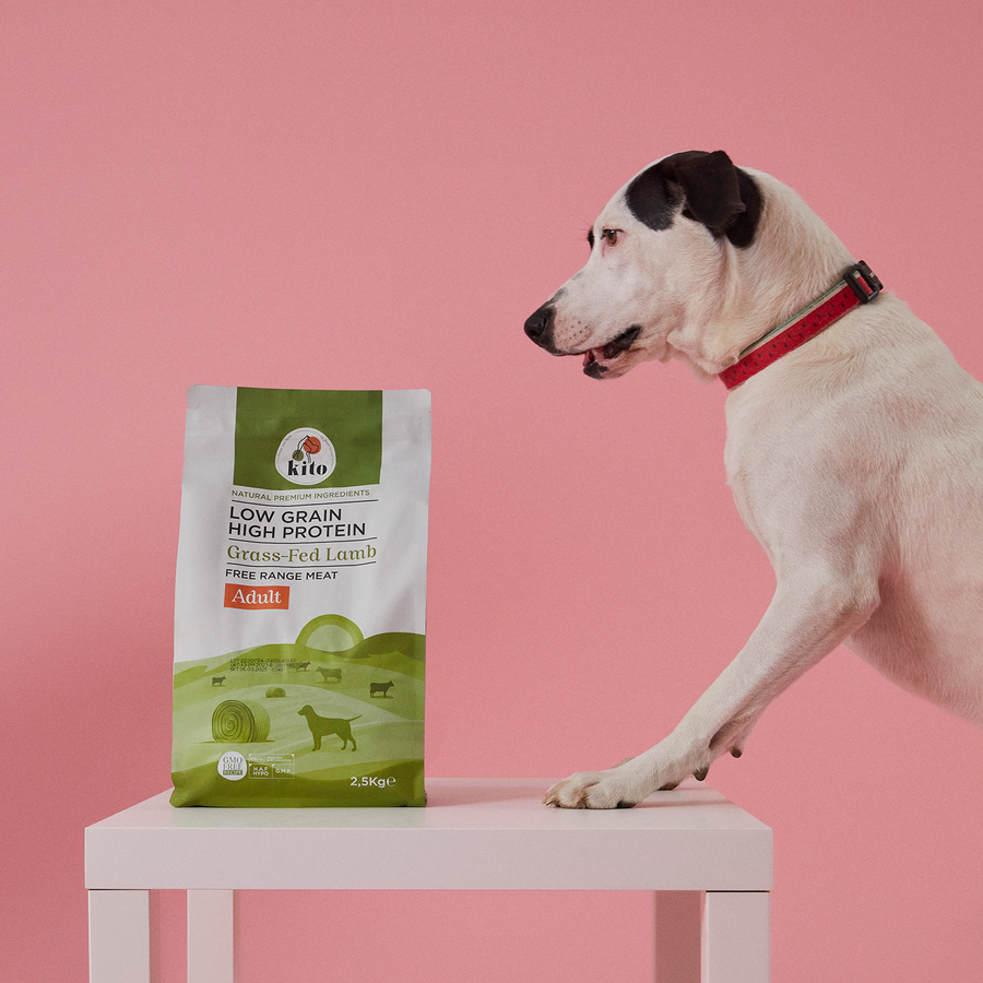 Adult Dog Food 2,5 KG + Kito Fresh Dog Food with Salmon X 6