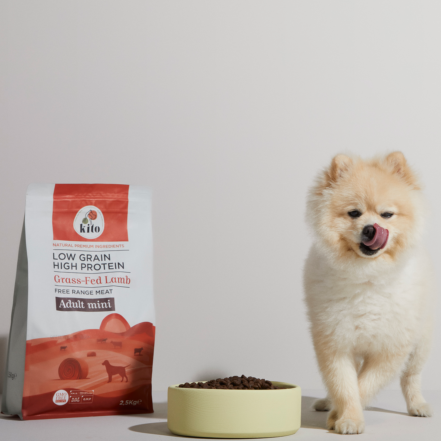 Yetişkin Mini Irk Köpek Maması