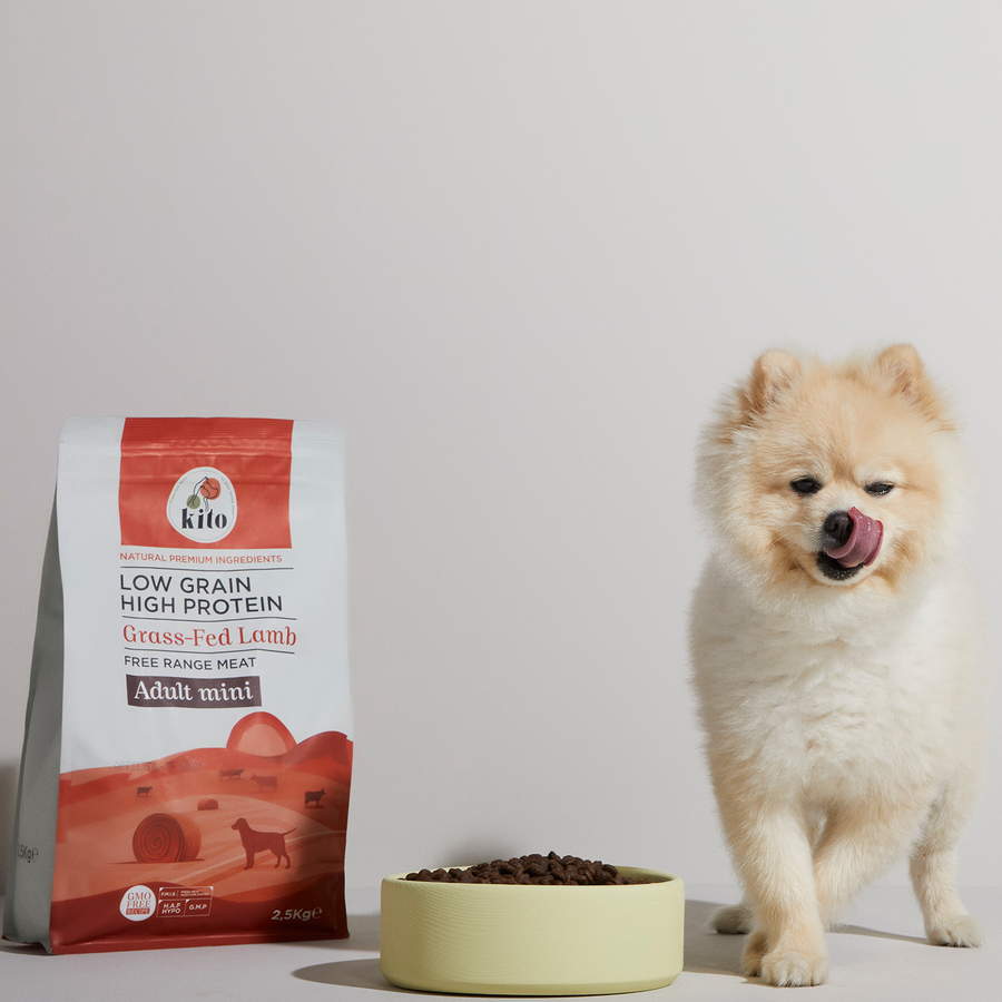Yetişkin Mini Irk Köpek Maması 2.5 KG + Somon Etli Köpek Kito Fresh X 6