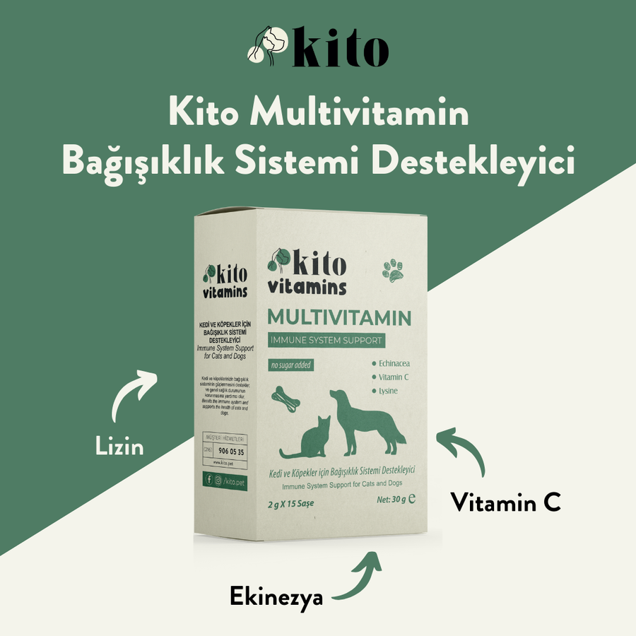 Kito Multivitamin Bağışıklık Sistemi Destekleyici 2g X 15 Saşe