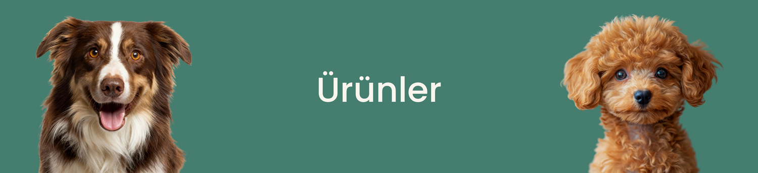Köpek Ürünler