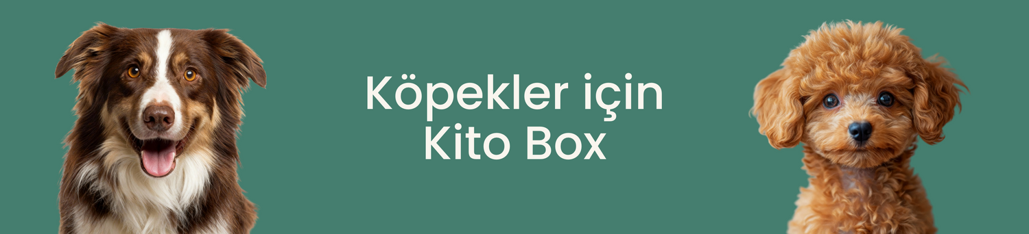 Köpekler İçin Kito Box