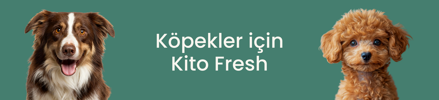 Köpekler İçin Kito Fresh