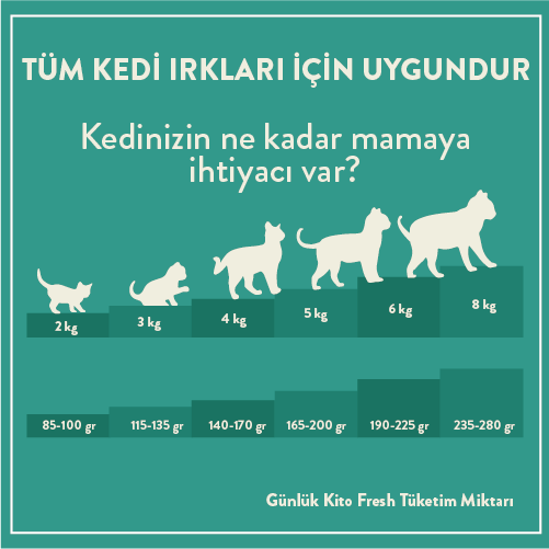 Kito Fresh Dana Etli Kedi Yemeği 85 gr