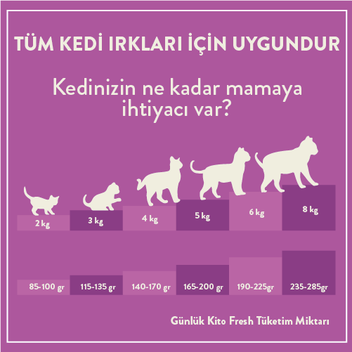 Kito Fresh Somon Etli Kedi Yemeği 85 gr