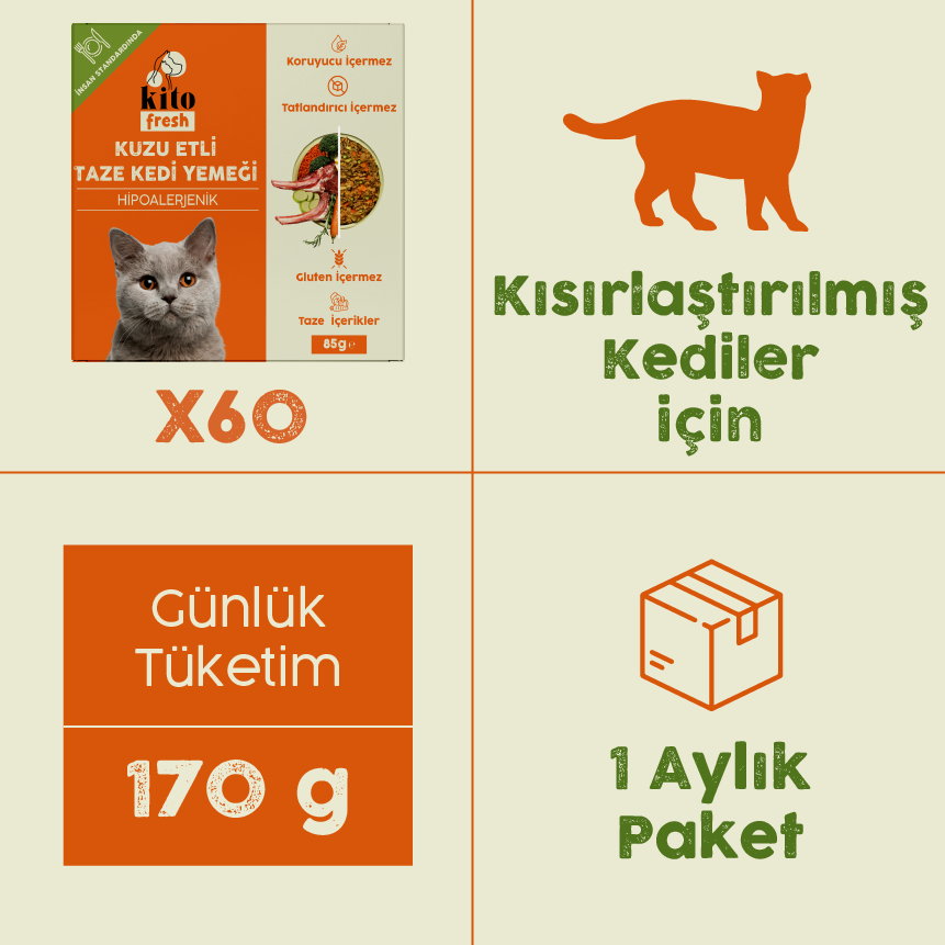 Kuzu Etli Kito Fresh x60 (Yetişkin Kediler için Aylık Kito Fresh Paketi)