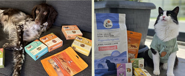 Mutlu Pati Hikayeleri Banner