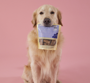 Yaban Mersinli Cookie