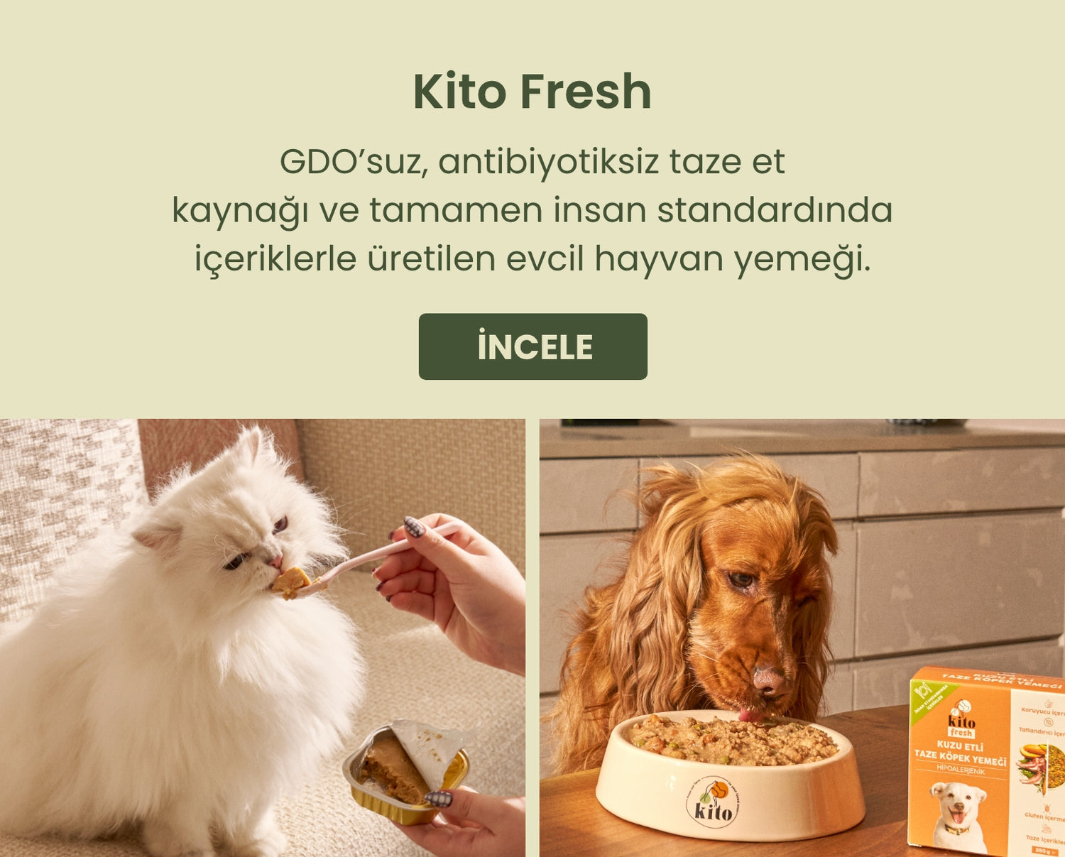 Neden Kito Fresh Banner