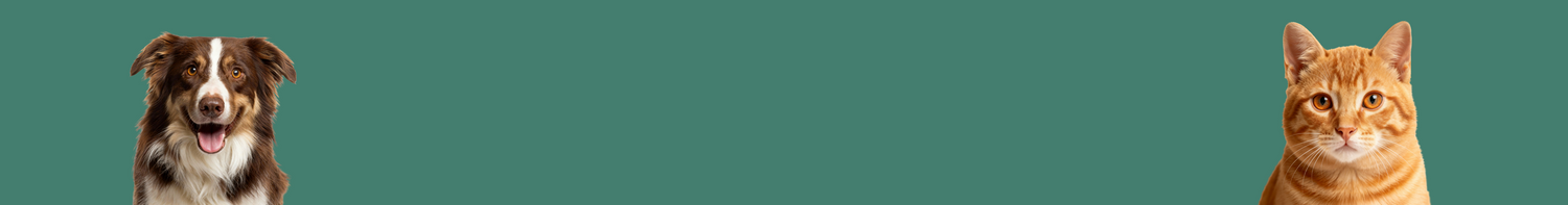 Kedi Köpek Koleksiyon Banner