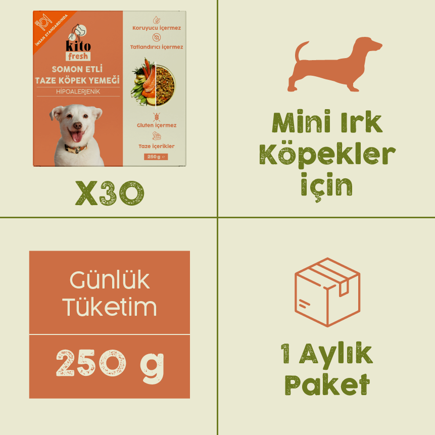 Somon Etli Kito Fresh x30 (Mini Irk Köpekler için Aylık Kito Fresh Paketi)