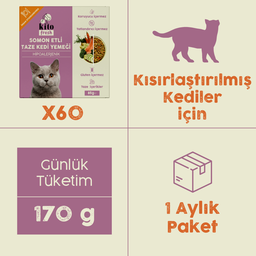 Somon Etli Kito Fresh x60 (Yetişkin Kediler için Aylık Kito Fresh Paketi)