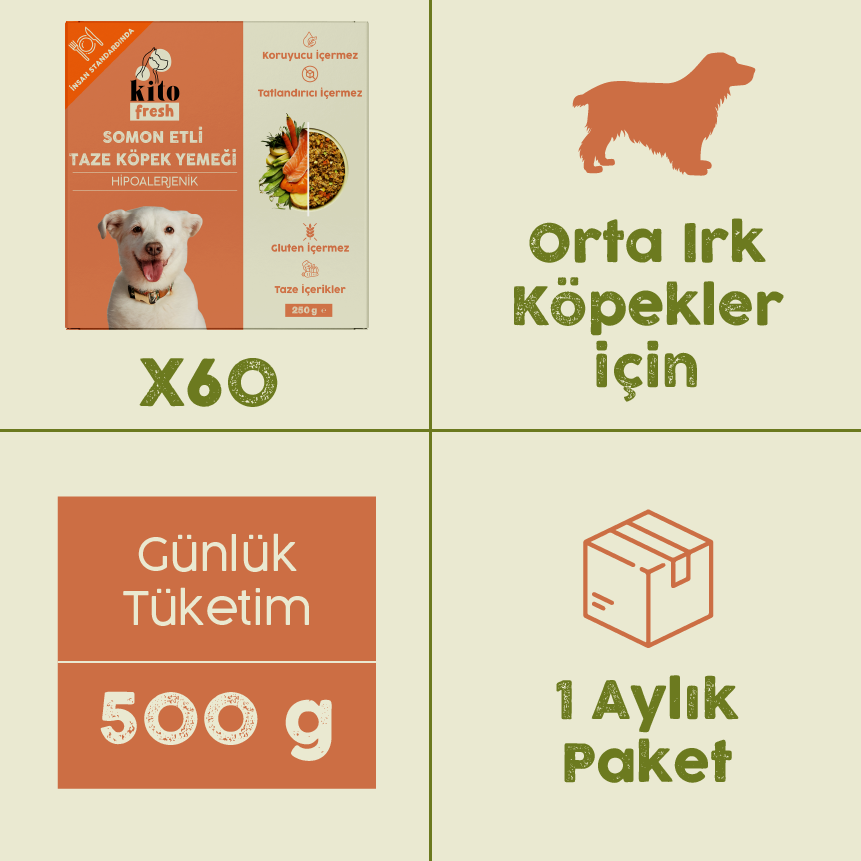 Somon Etli Kito Fresh x60 (Orta Irk Köpekler için Aylık Kito Fresh Paketi)