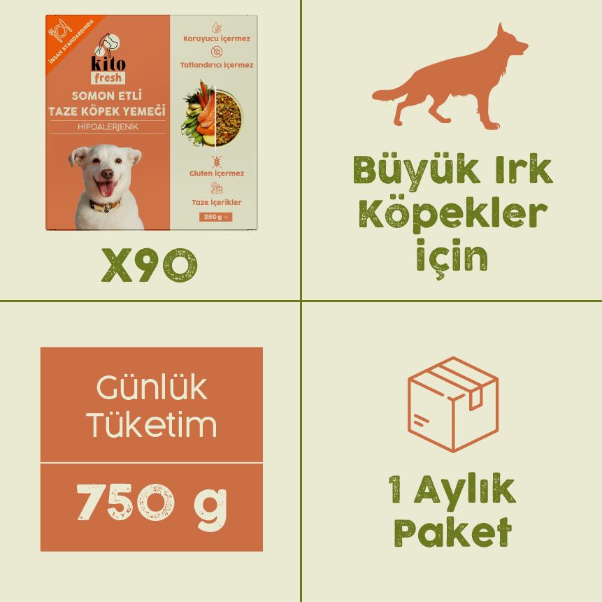 Büyük Irk Köpekler İçin Somon Etli Aylık Kito Fresh Paketi