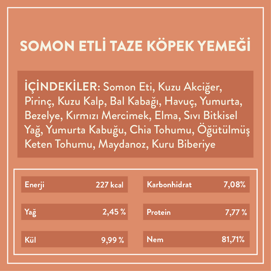 Somon Etli Köpek Yemeği
