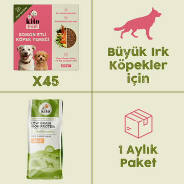 45 Adet Kito Fresh Somon Etli Köpek Yemeği %100 Taze İçerikli Mama+ 15 kg Yetişkin Köpek Maması