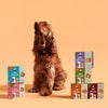 Köpekler için Kito Fresh Tanışma Paketi + Kito Hip&Joint Eklem ve Kas Sağlığı Destekleyici