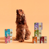 Kito Fresh Kuzu Etli Köpek Yemeği %100 Taze İçerikli Mama 250 gr