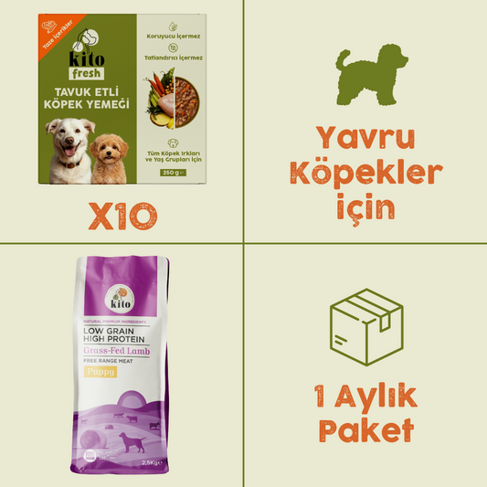 10 Adet Kito Fresh Tavuk Etli Köpek Yemeği %100 Taze İçerikli Mama + 2,5 kg Yavru Köpek Maması