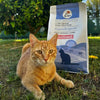 Sterilised Cat Food with Grass-Fed Lamb 2 kg