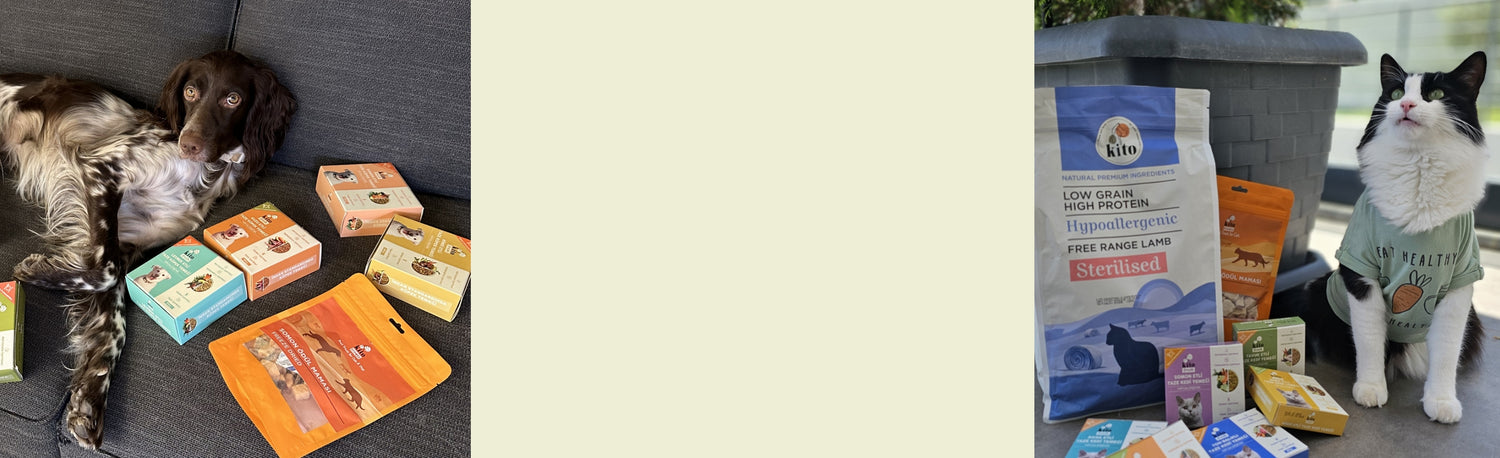 Mutlu Pati Hikayeleri Banner