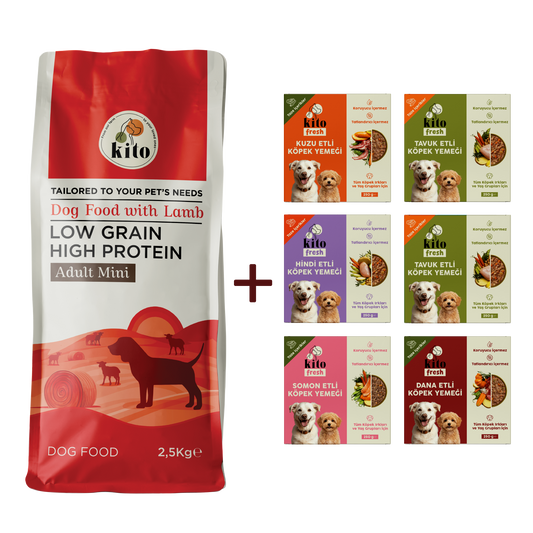 Kuzu Etli Yetişkin Mini Irk Köpek Maması 2.5 KG + Kito Fresh %100 Taze İçerikli Mama Tanışma Paketi