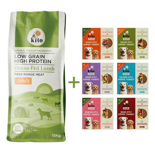 Kuzu Etli Yetişkin Köpek Maması 15 Kg + Kito Fresh %100 Taze İçerikli Mama Tanışma Paketi