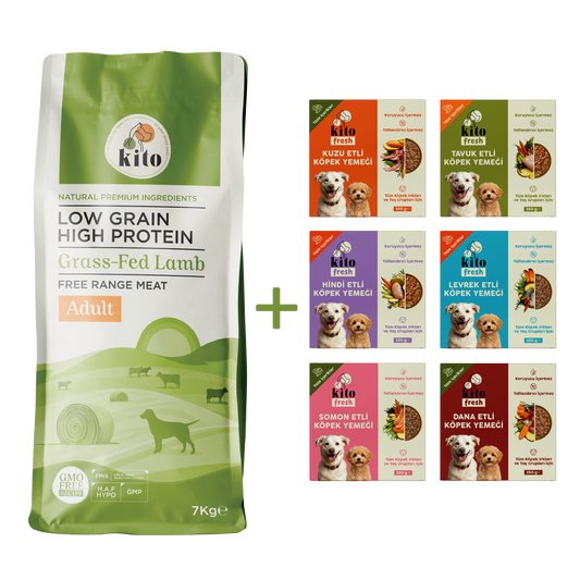 Kuzu Etli Yetişkin Köpek Maması 7 Kg + Kito Fresh %100 Taze İçerikli Mama Tanışma Paketi
