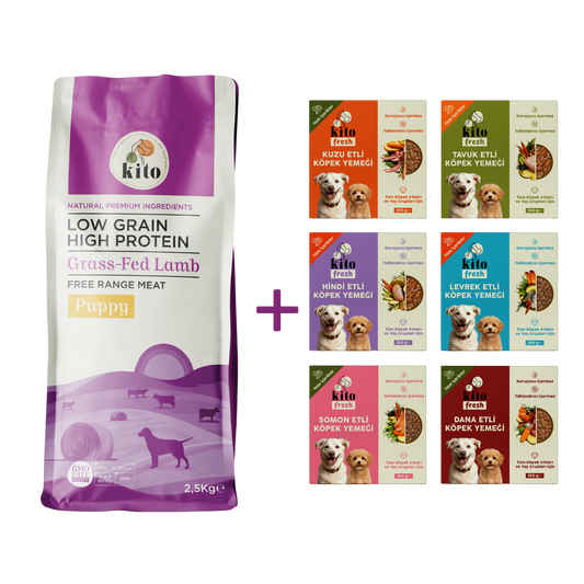 Kuzu Etli Yavru Köpek Maması 2.5 KG + Kito Fresh %100 Taze İçerikli Mama Tanışma Paketi