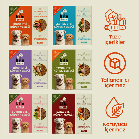 Kito Fresh Köpekler için %100 Taze İçerikli Mama Tanışma Paketi